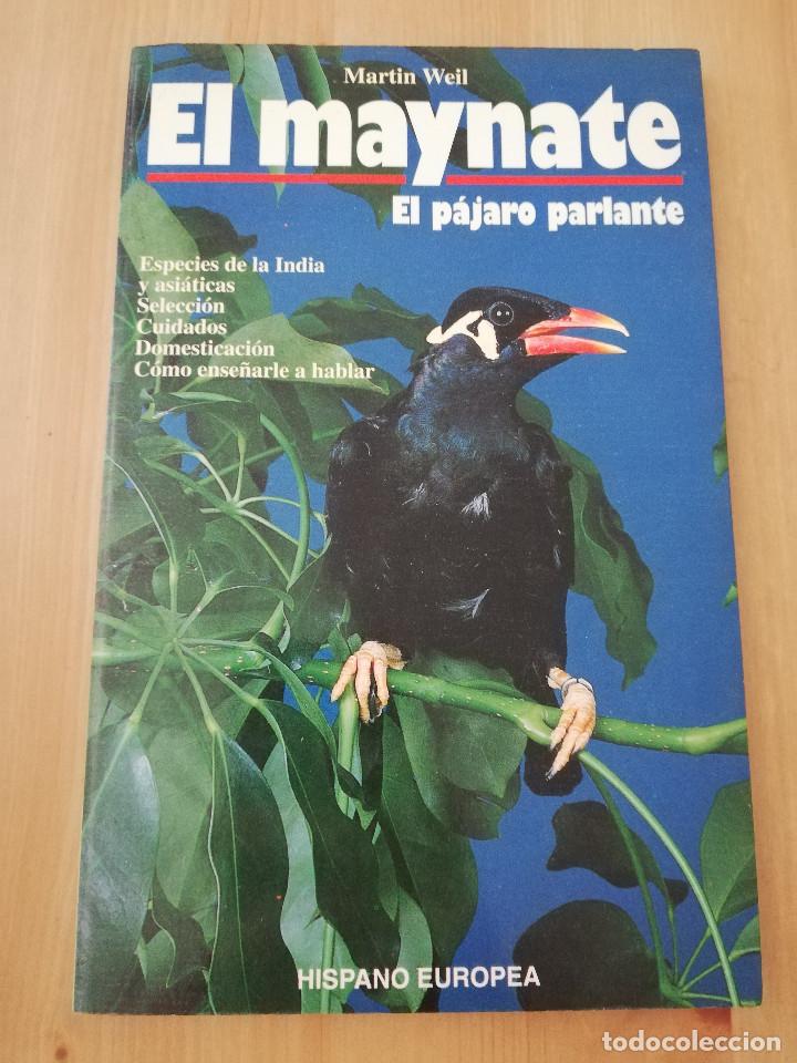 Libros de segunda mano: EL MAYNATE. EL P&Aacute;JARO PARLANTE (MARTIN WEIL) - Foto 1