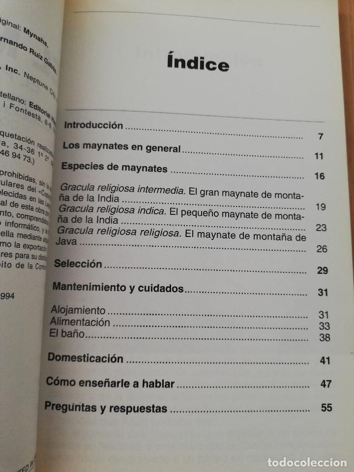 Libros de segunda mano: EL MAYNATE. EL P&Aacute;JARO PARLANTE (MARTIN WEIL) - Foto 3