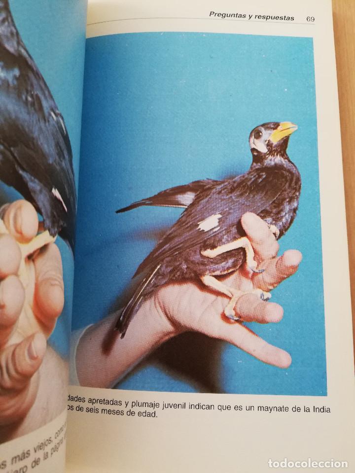 Libros de segunda mano: EL MAYNATE. EL P&Aacute;JARO PARLANTE (MARTIN WEIL) - Foto 4