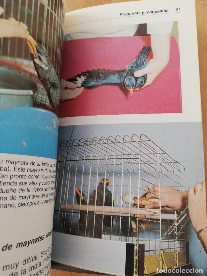 Libros de segunda mano: EL MAYNATE. EL P&Aacute;JARO PARLANTE (MARTIN WEIL) - Foto 5