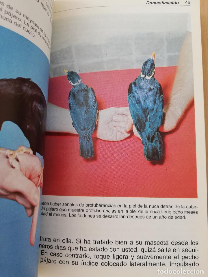 Libros de segunda mano: EL MAYNATE. EL P&Aacute;JARO PARLANTE (MARTIN WEIL) - Foto 8