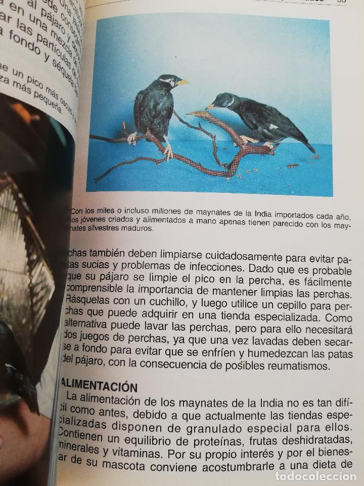Libros de segunda mano: EL MAYNATE. EL P&Aacute;JARO PARLANTE (MARTIN WEIL) - Foto 9