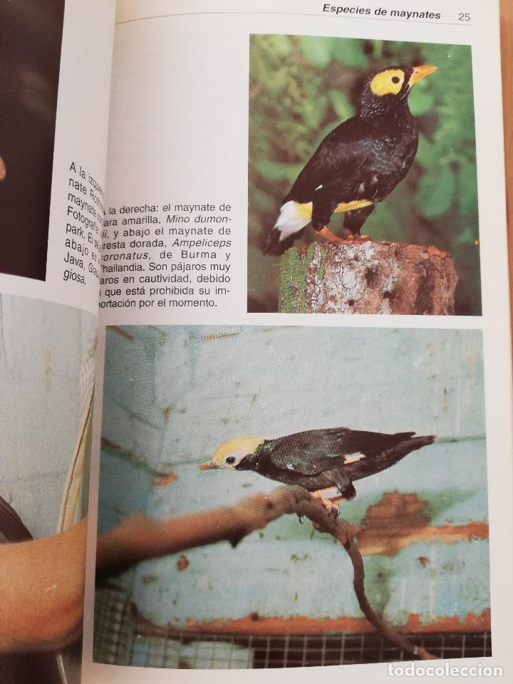 Libros de segunda mano: EL MAYNATE. EL P&Aacute;JARO PARLANTE (MARTIN WEIL) - Foto 10