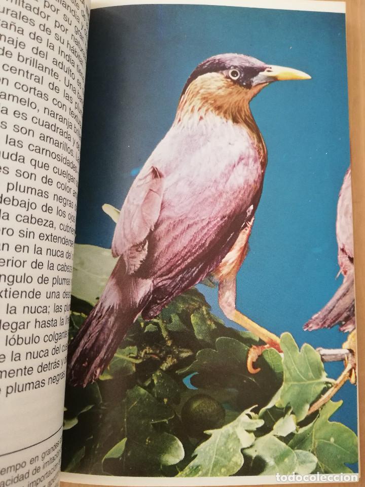 Libros de segunda mano: EL MAYNATE. EL P&Aacute;JARO PARLANTE (MARTIN WEIL) - Foto 11