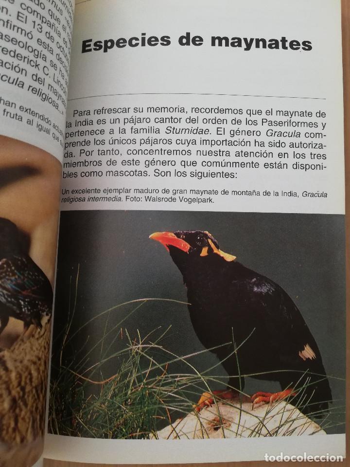 Libros de segunda mano: EL MAYNATE. EL P&Aacute;JARO PARLANTE (MARTIN WEIL) - Foto 12