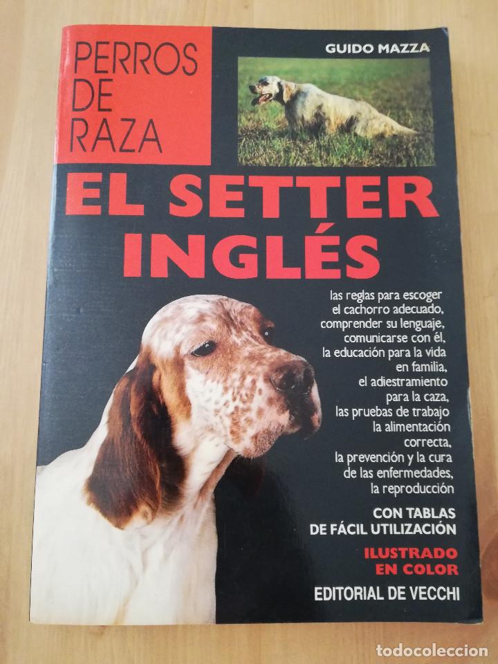 Libros de segunda mano: EL SETTER INGL&Eacute;S (GUIDO MAZZA) - Foto 1