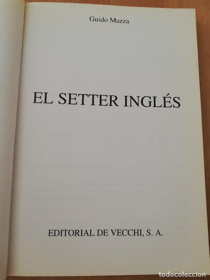 Libros de segunda mano: EL SETTER INGL&Eacute;S (GUIDO MAZZA) - Foto 2