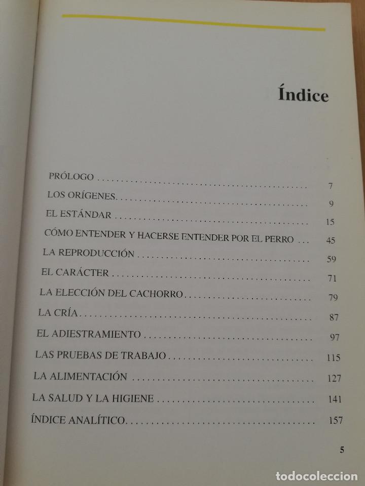Libros de segunda mano: EL SETTER INGL&Eacute;S (GUIDO MAZZA) - Foto 3