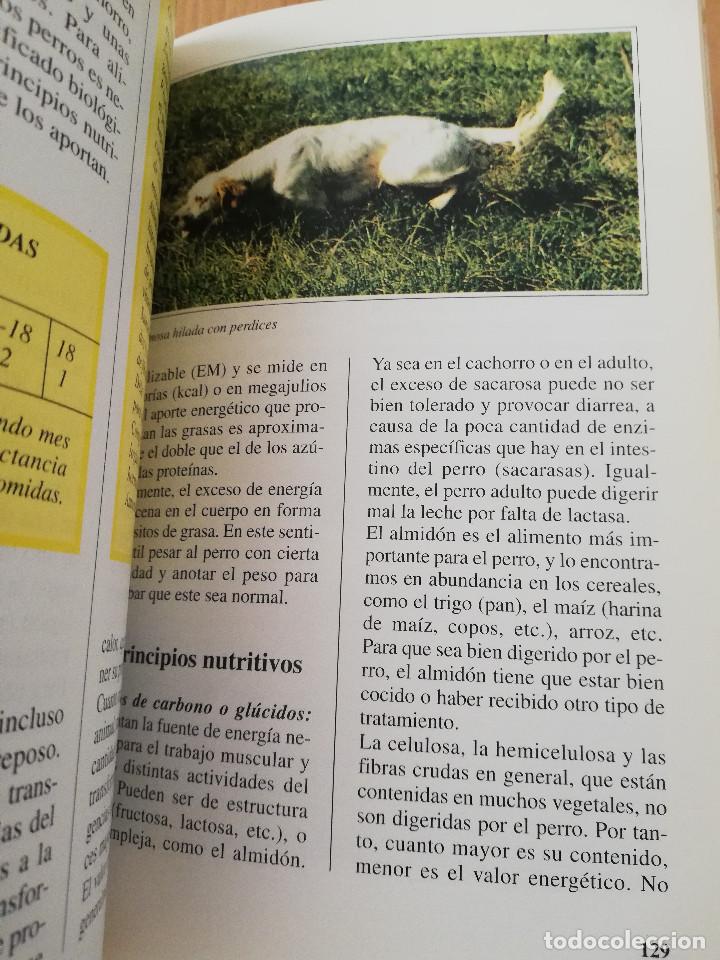 Libros de segunda mano: EL SETTER INGL&Eacute;S (GUIDO MAZZA) - Foto 4