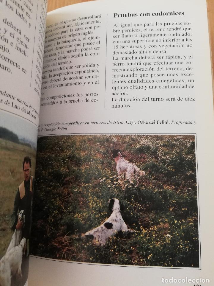 Libros de segunda mano: EL SETTER INGL&Eacute;S (GUIDO MAZZA) - Foto 5
