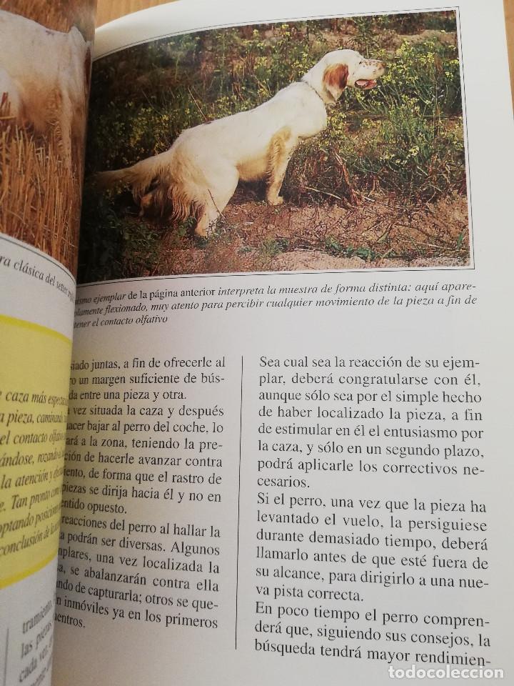 Libros de segunda mano: EL SETTER INGL&Eacute;S (GUIDO MAZZA) - Foto 6
