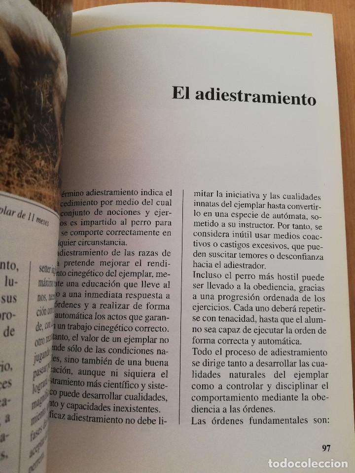 Libros de segunda mano: EL SETTER INGL&Eacute;S (GUIDO MAZZA) - Foto 7