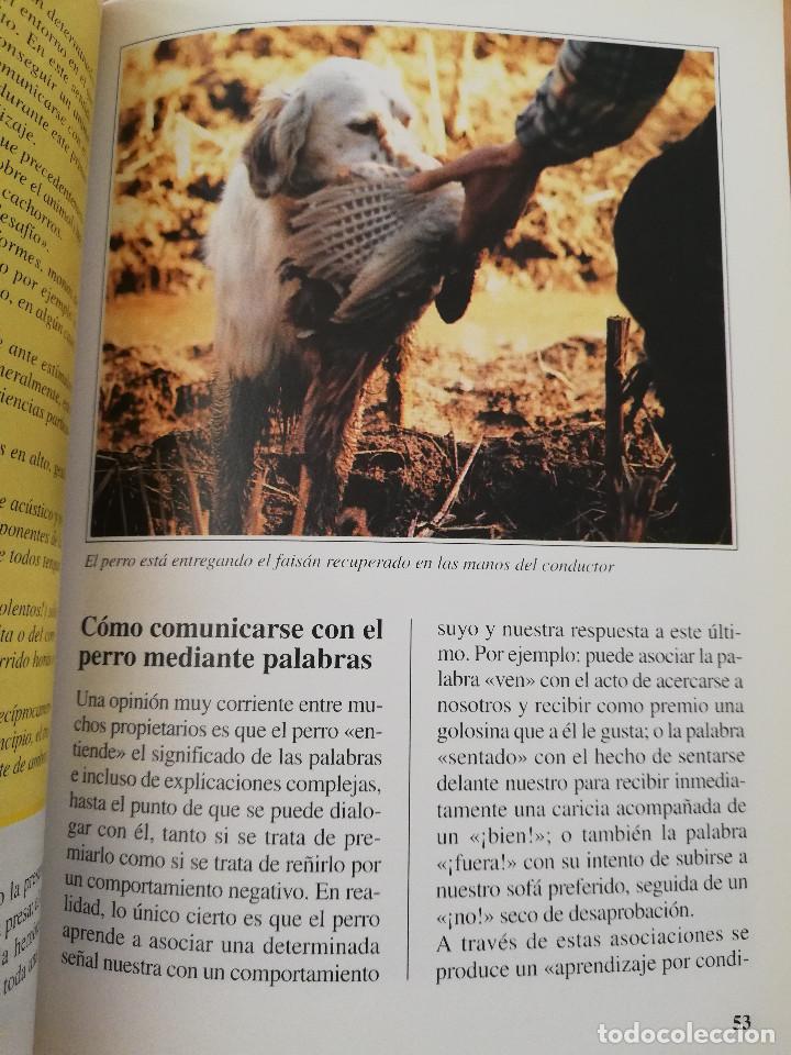 Libros de segunda mano: EL SETTER INGL&Eacute;S (GUIDO MAZZA) - Foto 10