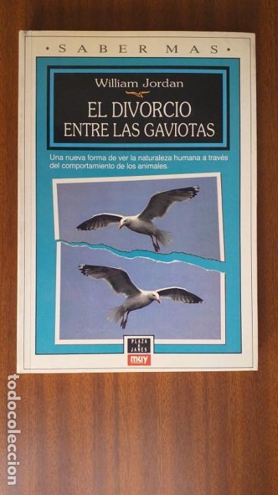 Libros de segunda mano: El divorcio entre las gaviotas --- William Jordan - Foto 1