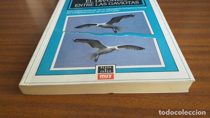Libros de segunda mano: El divorcio entre las gaviotas --- William Jordan - Foto 3