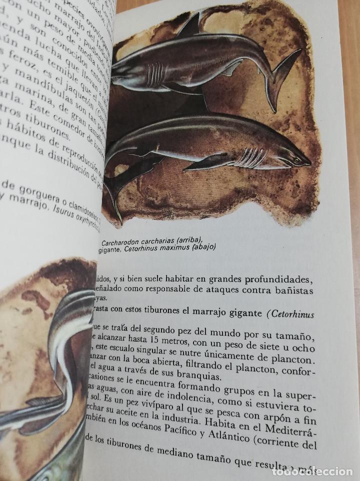 Libros de segunda mano: EL MAR Y SUS HABITANTES (JOHN CROFT) - Foto 5