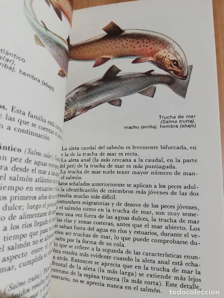 Libros de segunda mano: EL MAR Y SUS HABITANTES (JOHN CROFT) - Foto 6