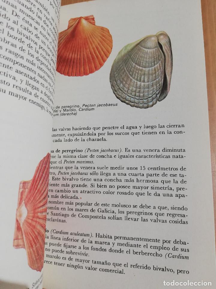 Libros de segunda mano: EL MAR Y SUS HABITANTES (JOHN CROFT) - Foto 7