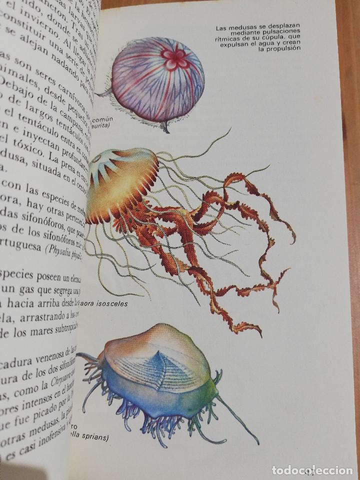 Libros de segunda mano: EL MAR Y SUS HABITANTES (JOHN CROFT) - Foto 8