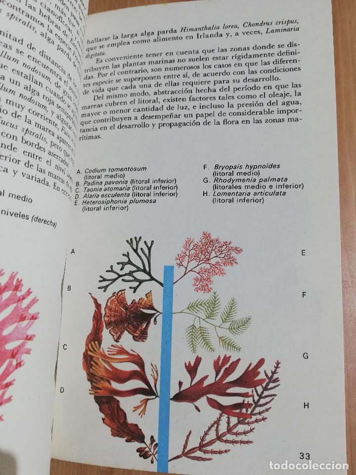 Libros de segunda mano: EL MAR Y SUS HABITANTES (JOHN CROFT) - Foto 11