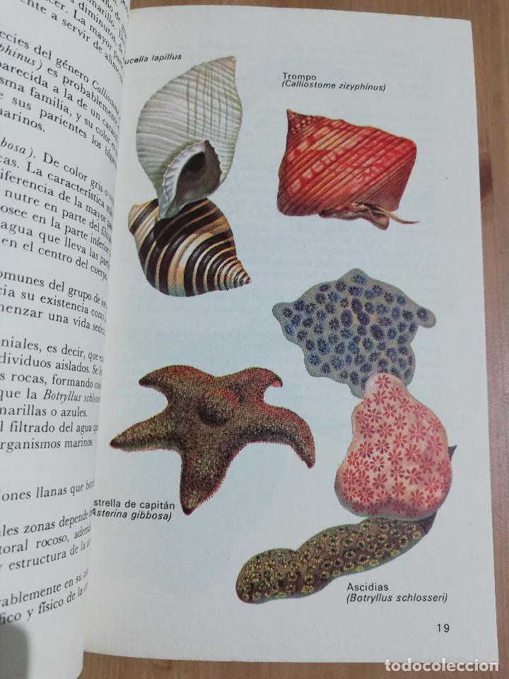 Libros de segunda mano: EL MAR Y SUS HABITANTES (JOHN CROFT) - Foto 12