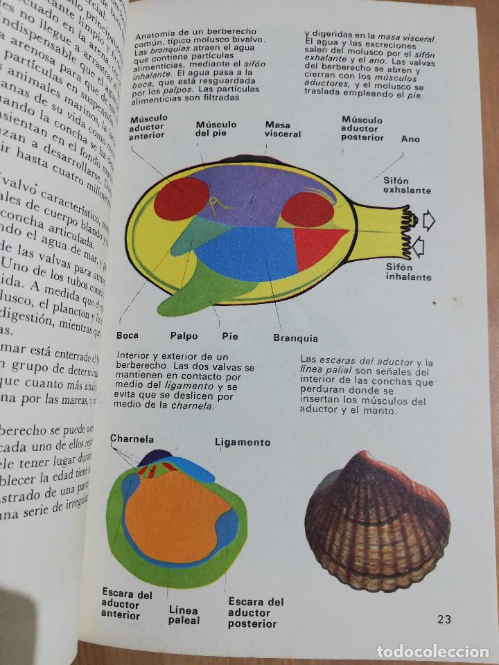 Libros de segunda mano: EL MAR Y SUS HABITANTES (JOHN CROFT) - Foto 13