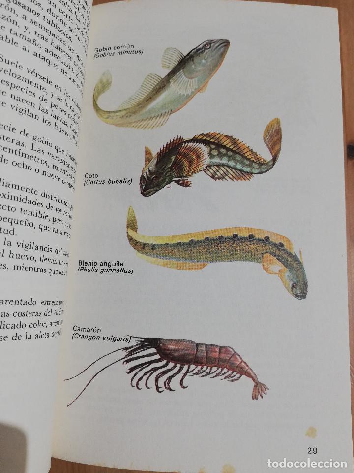 Libros de segunda mano: EL MAR Y SUS HABITANTES (JOHN CROFT) - Foto 14