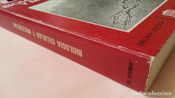 Libros de segunda mano: LIbro. Biolog&iacute;a celular y molecular. A&ntilde;o 1981. - Foto 3