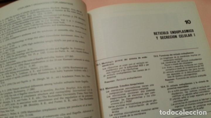 Libros de segunda mano: LIbro. Biolog&iacute;a celular y molecular. A&ntilde;o 1981. - Foto 4