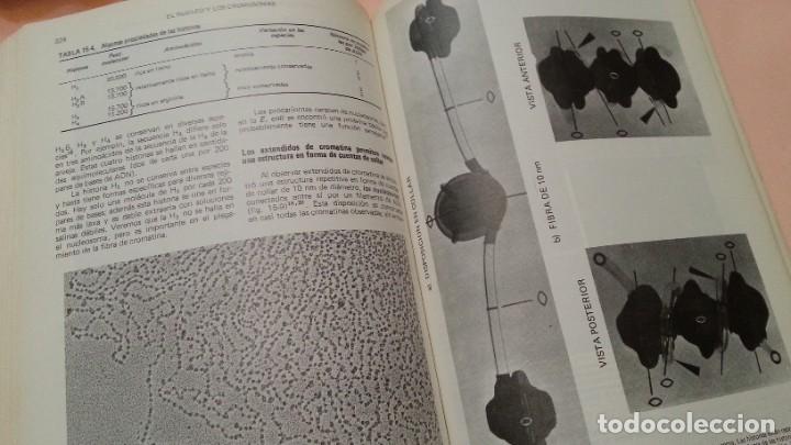 Libros de segunda mano: LIbro. Biolog&iacute;a celular y molecular. A&ntilde;o 1981. - Foto 5