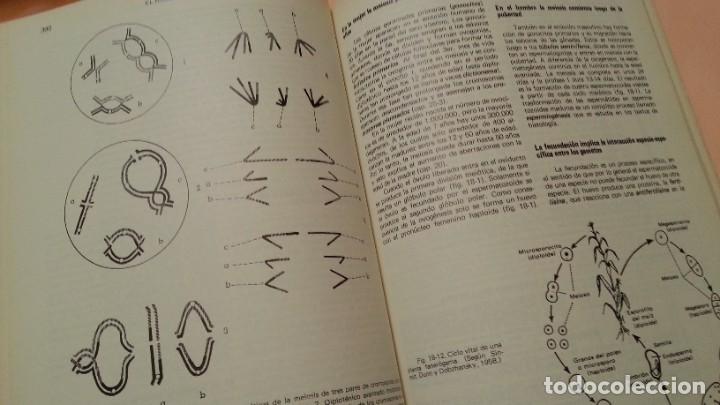 Libros de segunda mano: LIbro. Biolog&iacute;a celular y molecular. A&ntilde;o 1981. - Foto 6