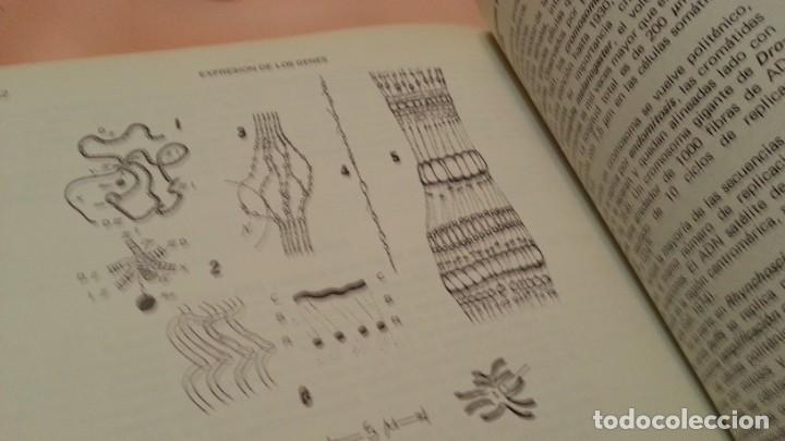 Libros de segunda mano: LIbro. Biolog&iacute;a celular y molecular. A&ntilde;o 1981. - Foto 7