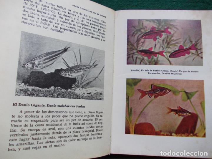 Libros de segunda mano: PECES TROPICALES EN EL HOGAR - Foto 2