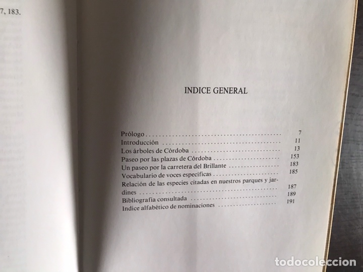 Libros de segunda mano: Los &aacute;rboles de cordoba. Manuel de C&eacute;sar. - Foto 3