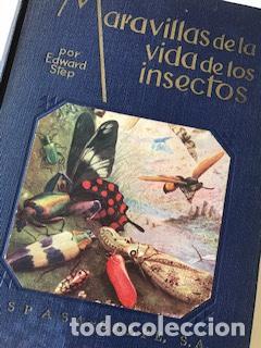 Libros de segunda mano: MARAVILLAS DE LA VIDA DE LOS INSECTOS, EDWARD STEP - Foto 1