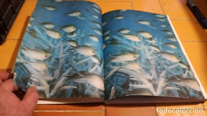 Libros de segunda mano: LOS OCEANOS - DAVID LAMBERT - FONTALBA B000 - Foto 6