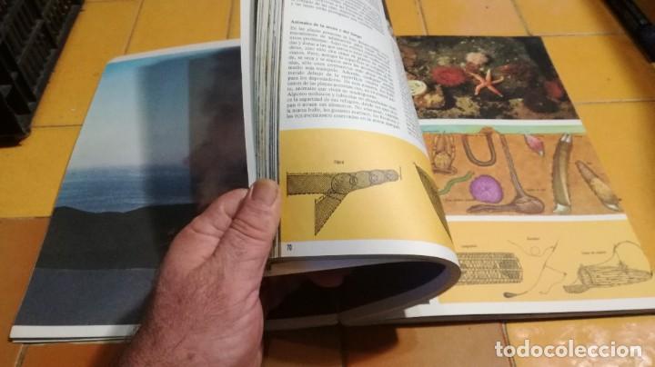 Libros de segunda mano: LOS OCEANOS - DAVID LAMBERT - FONTALBA B000 - Foto 11