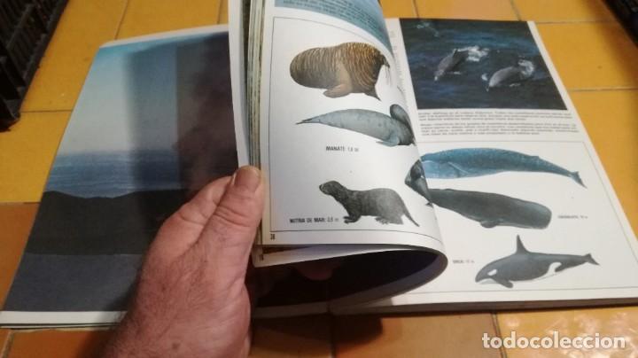 Libros de segunda mano: LOS OCEANOS - DAVID LAMBERT - FONTALBA B000 - Foto 13