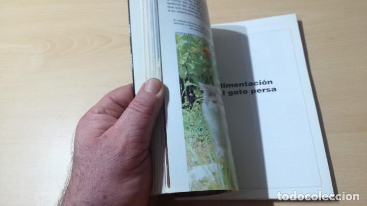 Libros de segunda mano: LOS GATOS PERSAS - EDWARD E ESARDE - HISPANO EUROPEA ZZ 406 - Foto 11