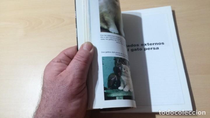 Libros de segunda mano: LOS GATOS PERSAS - EDWARD E ESARDE - HISPANO EUROPEA ZZ 406 - Foto 12