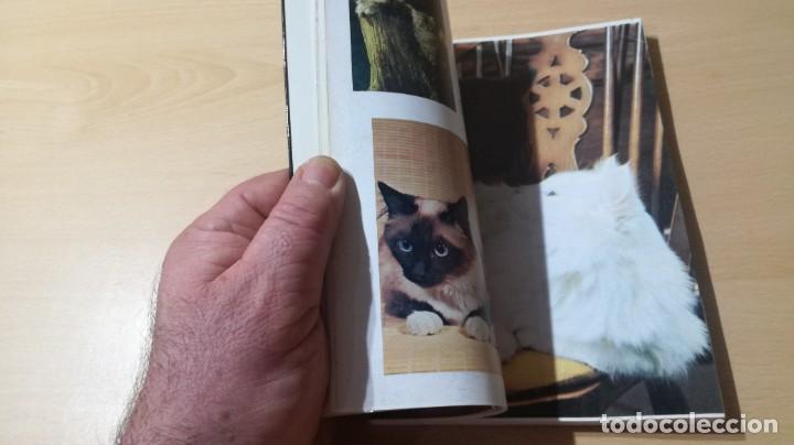 Libros de segunda mano: LOS GATOS PERSAS - EDWARD E ESARDE - HISPANO EUROPEA ZZ 406 - Foto 14