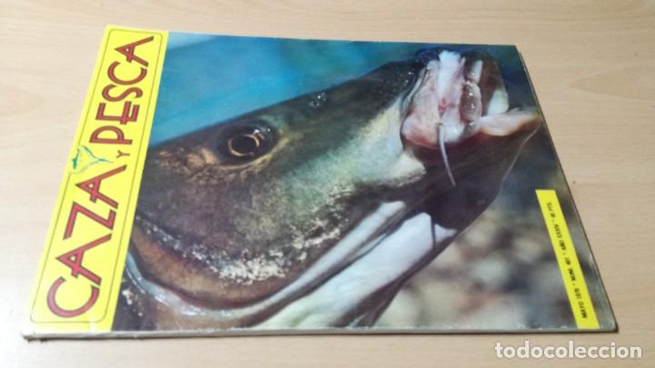 Libros de segunda mano: CAZA Y PESCA - 401 DE 1976 ZZ 502 - Foto 1