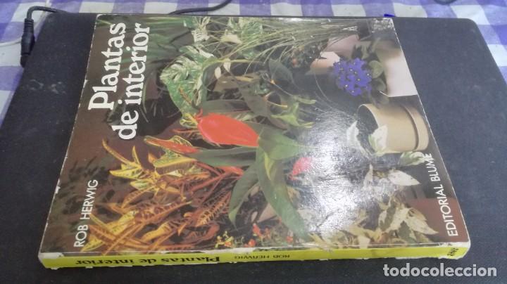 Libros de segunda mano: PLANTAS DE INTERIOR - ROB HERWING - BLUME ZZ 105 - Foto 1