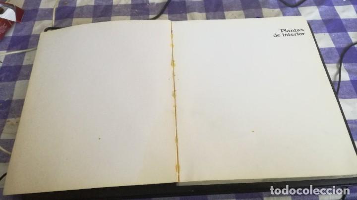 Libros de segunda mano: PLANTAS DE INTERIOR - ROB HERWING - BLUME ZZ 105 - Foto 3