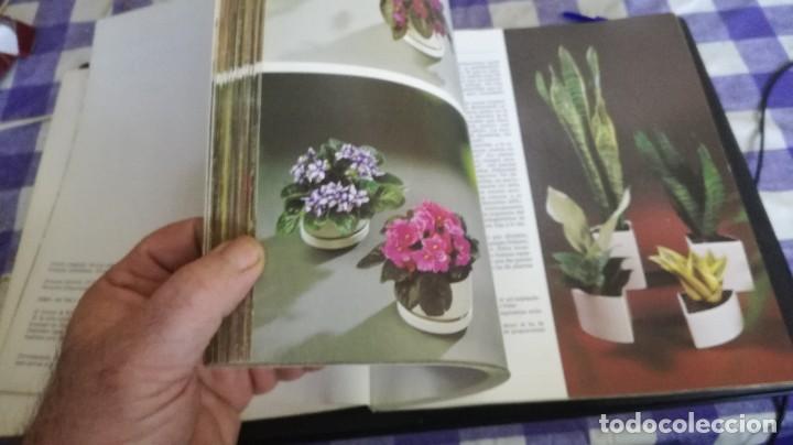 Libros de segunda mano: PLANTAS DE INTERIOR - ROB HERWING - BLUME ZZ 105 - Foto 6