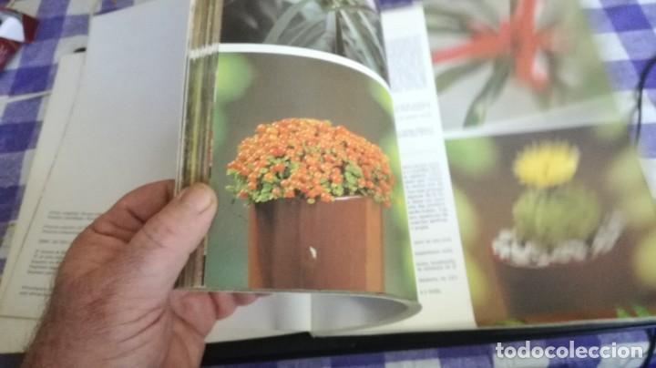 Libros de segunda mano: PLANTAS DE INTERIOR - ROB HERWING - BLUME ZZ 105 - Foto 7