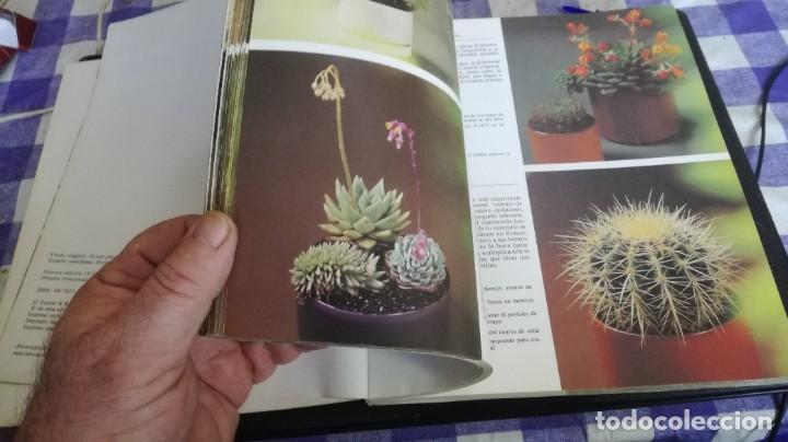 Libros de segunda mano: PLANTAS DE INTERIOR - ROB HERWING - BLUME ZZ 105 - Foto 8