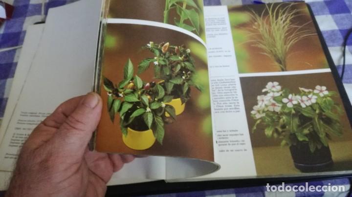 Libros de segunda mano: PLANTAS DE INTERIOR - ROB HERWING - BLUME ZZ 105 - Foto 9