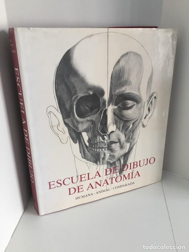 Escuela De Dibujo De Anatomía Humana Animal Vendido En Venta