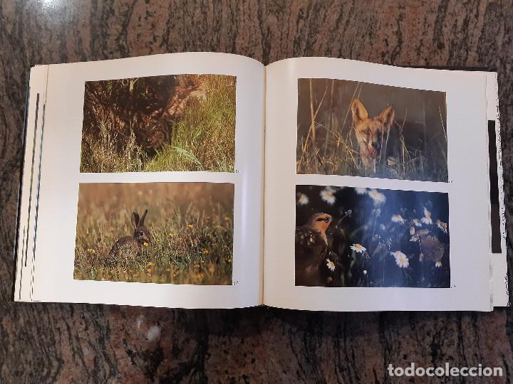 Libros de segunda mano: LIBRO COTO DO&Ntilde;ANA 1979. TEXTO JOSE A. VALVERDE. - Foto 5
